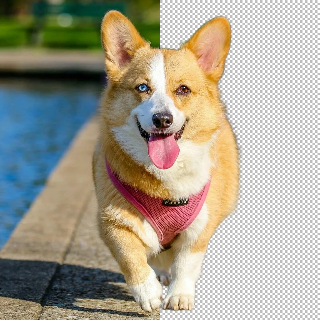 Background Remover